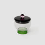 Everything Nice Glass Salt Bowl
