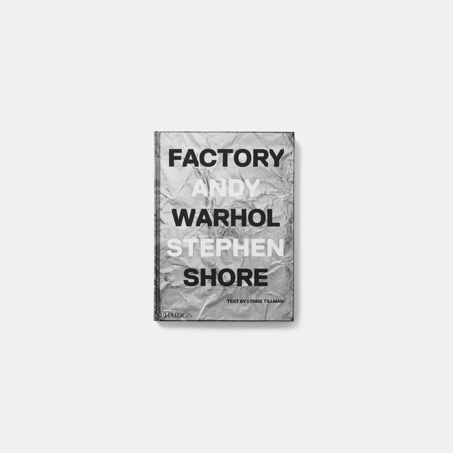 Factory: Andy Warhol, Stephen Shore