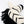 Ray the Large Plush Zebra